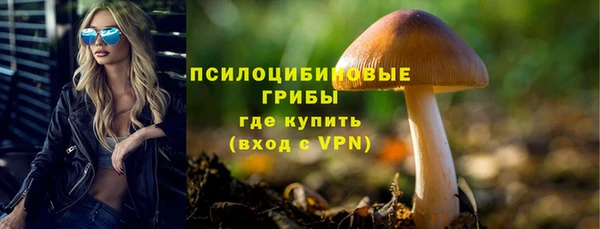 2c-b Заволжск
