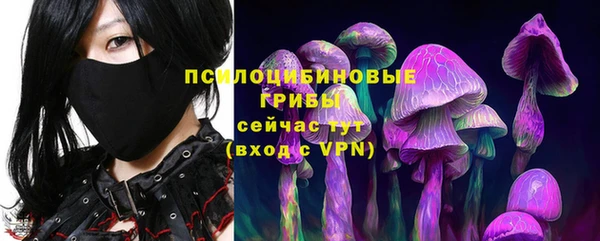 ECSTASY Заволжье