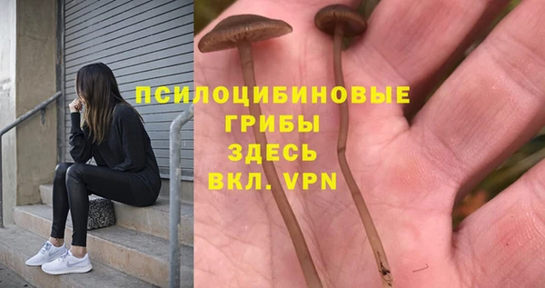 соль курить ск Заводоуковск