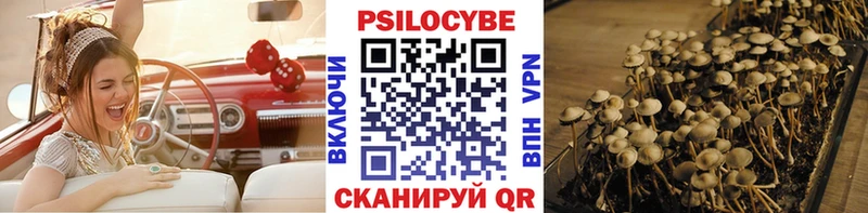 Псилоцибиновые грибы GOLDEN TEACHER  Железногорск-Илимский 
